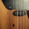 2018 LAY'S BARNWOOD P-BASS VINTAGE