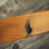 2018 LAY'S BARNWOOD P-BASS VINTAGE