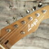 2019 Lay's black, teal, yellow, pink T-Caster