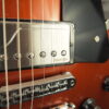Gibson Les Paul - Fishman Classics pickups