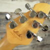Peavey Eddie Van Halen Wolfgang Special black