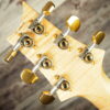 2013 Paul Reed Smith-Artist 24