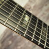 2009 Carvin 7 string