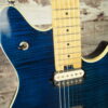 Peavey Wolfgang