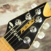 Peavey Wolfgang