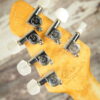 Peavey Wolfgang