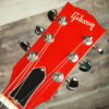 2009 Gibson Eye