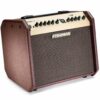 Fishman Loudbox Mini Bluetooth