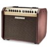 Fishman Loudbox Mini Bluetooth