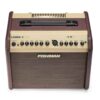 Fishman Loudbox Mini Bluetooth
