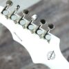 Epiphone Wilkshire Custom Shop