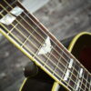 2009 Gibson Kris Kristofferson SJ