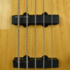 1993 Fender Jazz Bass 5-String