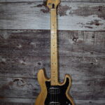 1979 Peavey T-40 Bass