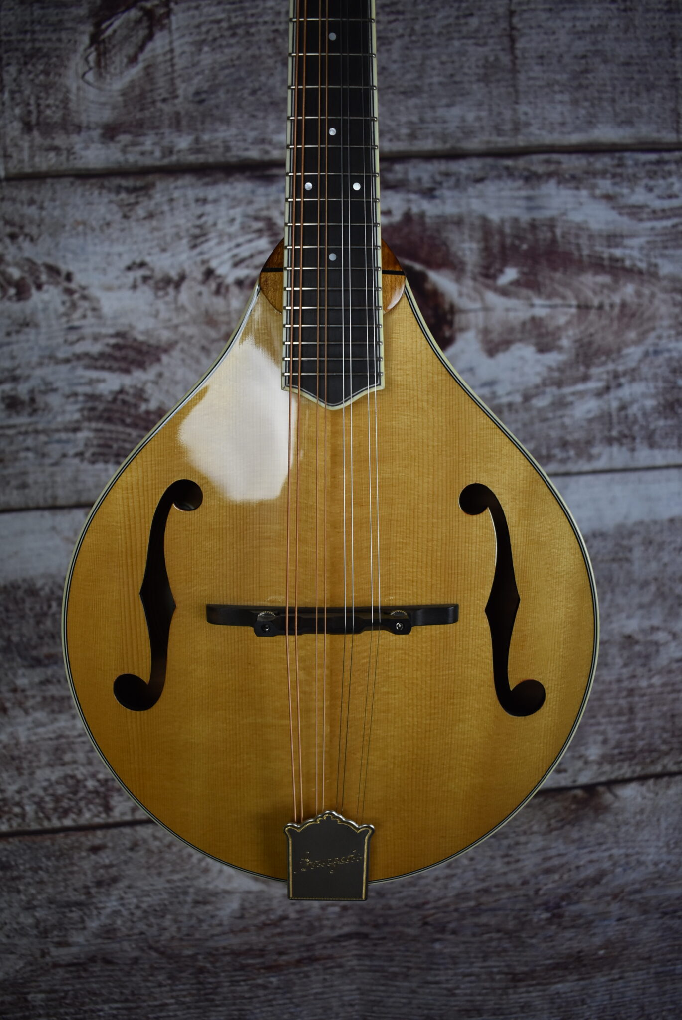 2022 Bourgeois Mandolin Model A