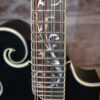 Michael Kelly Legacy Dragonfly Mandolin