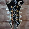 Michael Kelly Legacy Dragonfly Mandolin