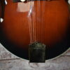 Michael Kelly Legacy Dragonfly Mandolin