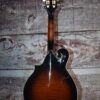 Michael Kelly Legacy Dragonfly Mandolin