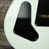 2020 Lays Guitar Lays Custom Build - Zakk Wyld Inspired