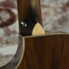 2023 Breedlove Premier Concertina CE LTD