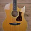 Fender LS-60 1994-1996 - Figured Maple/Spruce