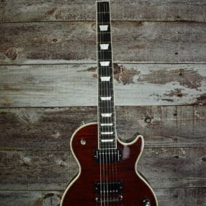 2009 Gibson Les Paul Supreme Frankenstein