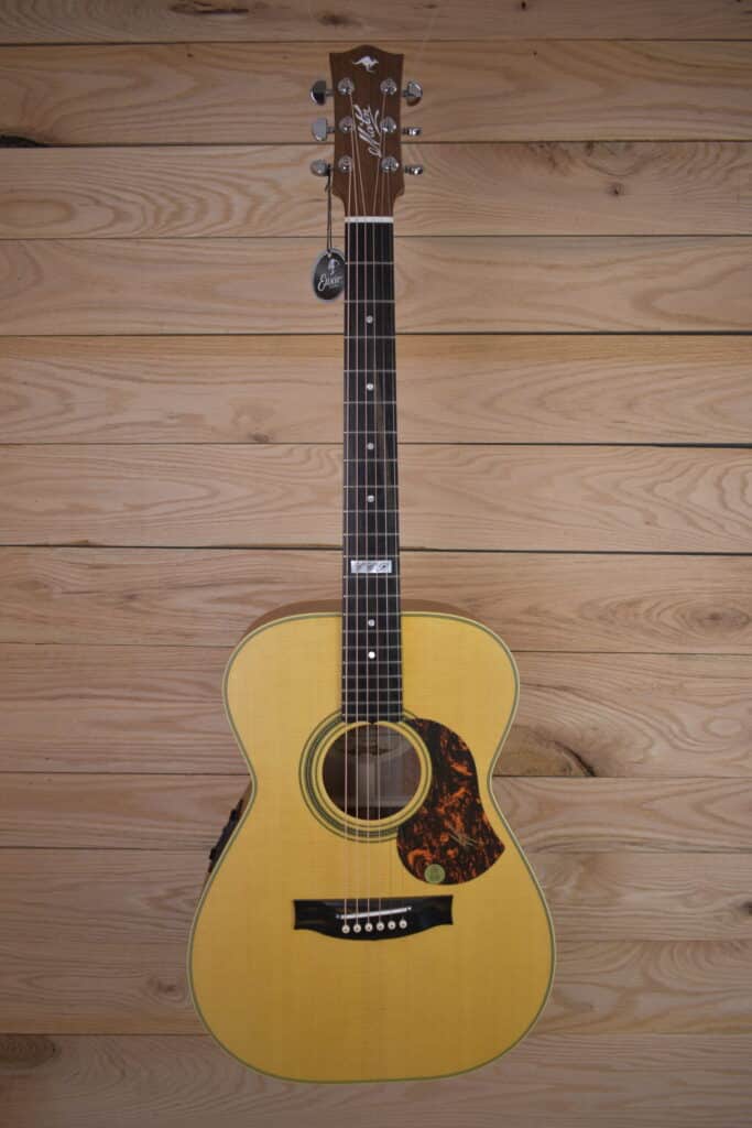 Maton EBG808TE 2024 - Queensland Maple/AAA Spruce - The Loft at
