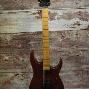 Ibanez J-Custom Electric