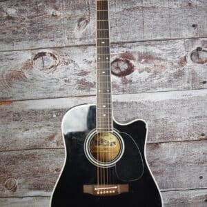 2008 Takamine EF3418CX Acoustic